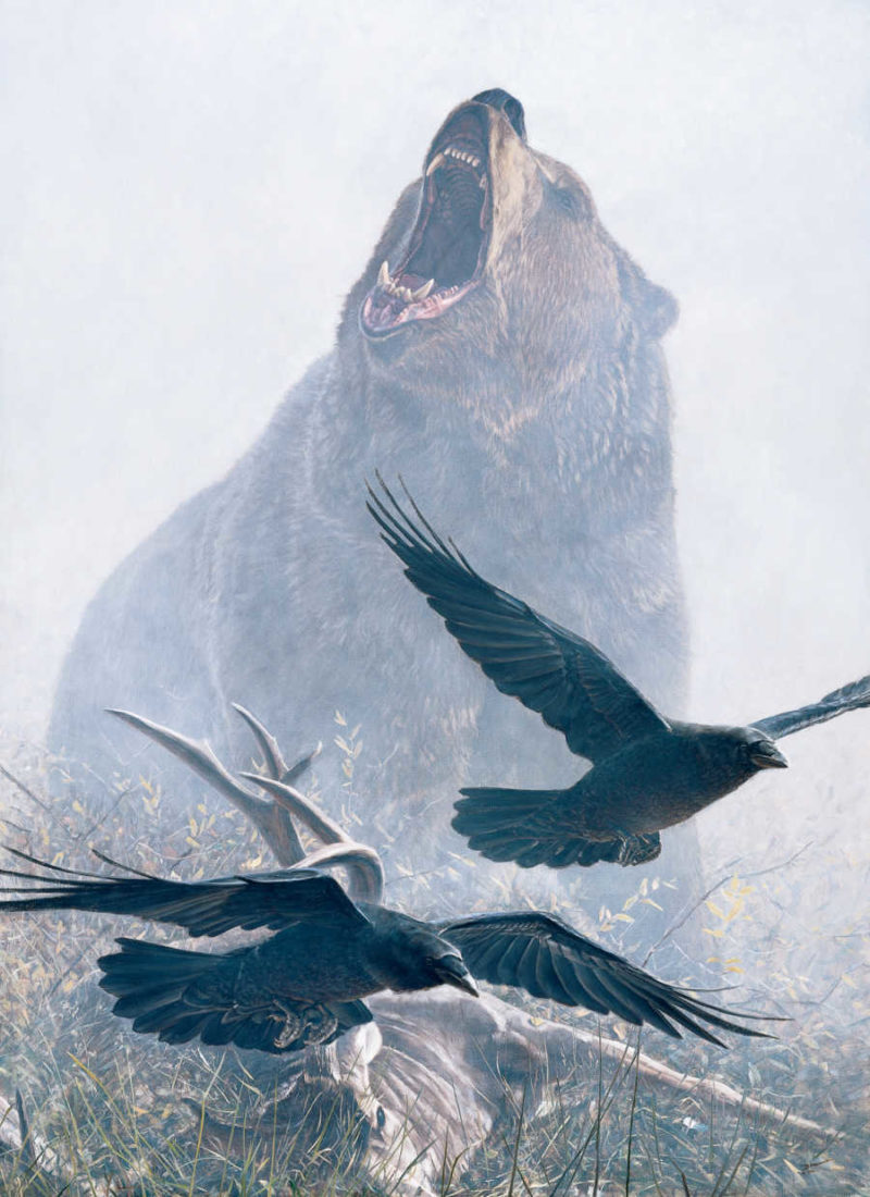 John Banovich-Grizzly Encounter