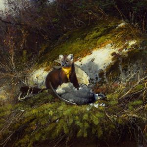 Michael Coleman-In the Northwoods Pine Martin