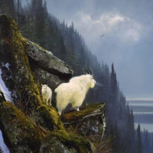 Michael Coleman-Rugged Heights Mountain Goats