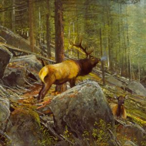 Michael Coleman-The Monarch Bull Elk