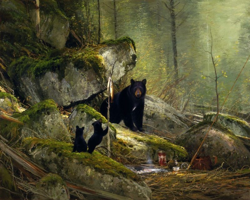 Michael Coleman-Visitors on the Sun River Black Bears