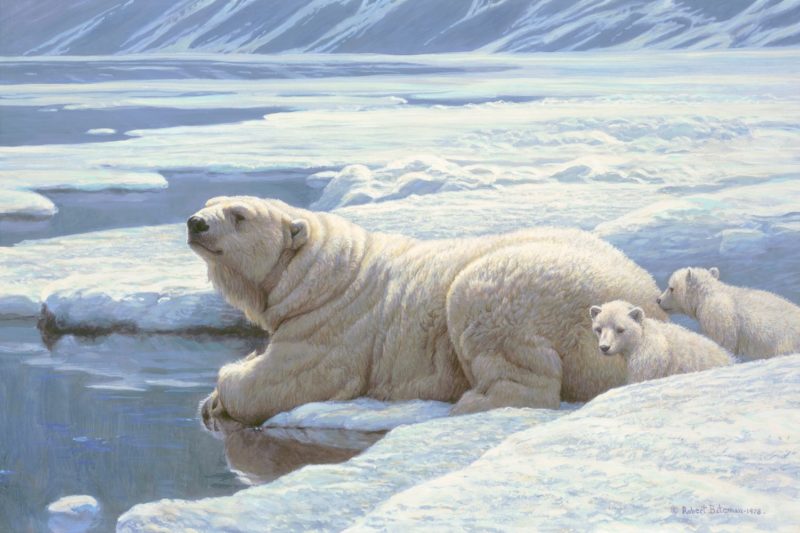 Robert Bateman-Artic Family