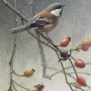 Robert Bateman-Chickadee and Rosehips