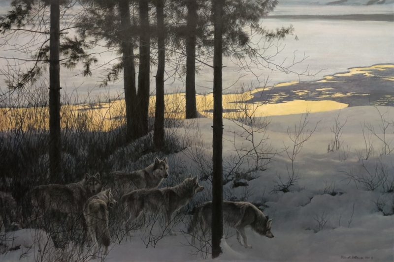 Robert Bateman-Edge of Night Timber Wolves