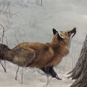 Robert Bateman-Game Over Fox and Maple