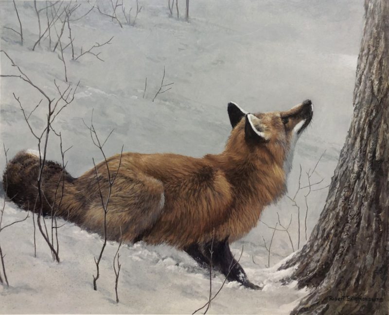 Robert Bateman-Game Over Fox and Maple