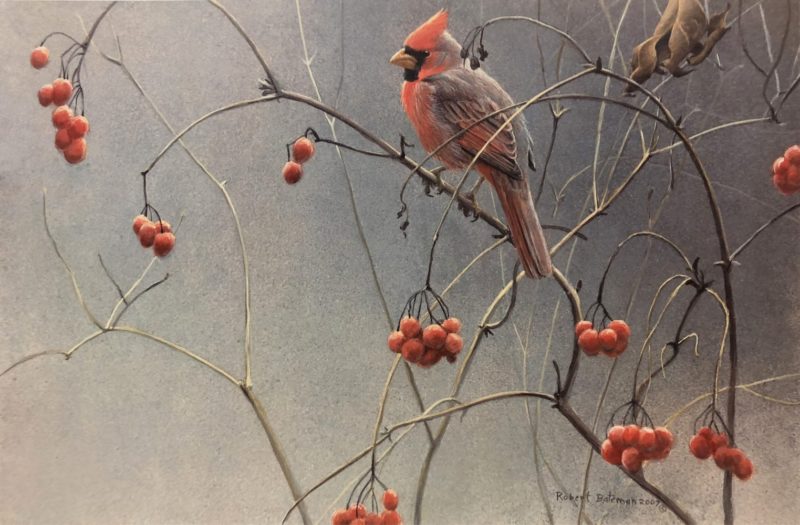 Robert Bateman-Highbush Cranberries