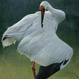 Robert Bateman-defensive stand giclee canvas