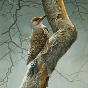 Robert Bateman-flicker on apple tree