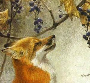 Robert Bateman-fox and grapes