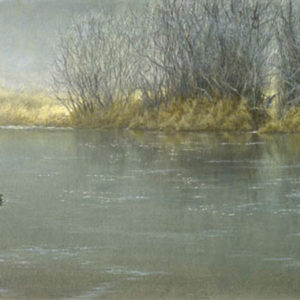 Robert Bateman-high water mallard pair