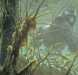 Robert Bateman-intrusion mountain gorilla