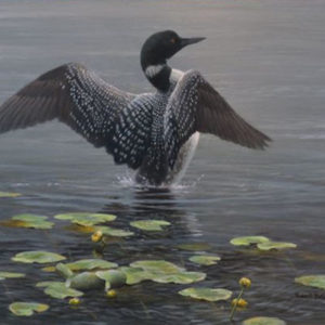 Robert Bateman-lake loon and lily pad