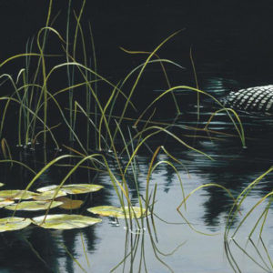 Robert Bateman-lilypads and loon