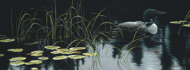 Robert Bateman-lilypads and loon