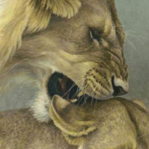 Robert Bateman-mating game