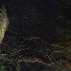 Robert Bateman-night fall eagle owl