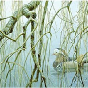 Robert Bateman-old willow mandarin pair