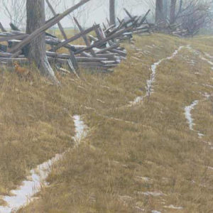 Robert Bateman-pasture trails redfox