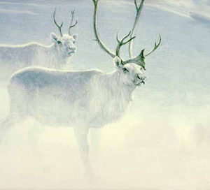 Robert Bateman-peary caribou