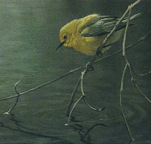 Robert Bateman-prothonotary warbler