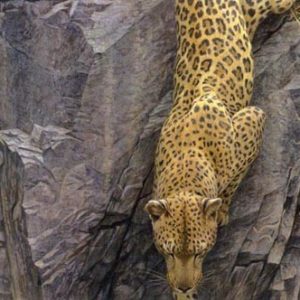 Robert Bateman-rockface descent