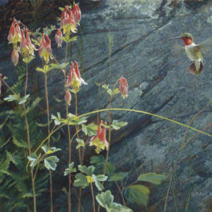 Robert Bateman-Ruby Throat and Columbine