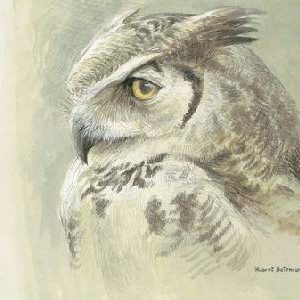 Robert Bateman-samantha great horned owl