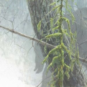 Robert Bateman-sasquatch