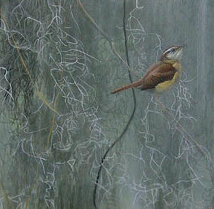 Robert Bateman-song of the south carolina wren