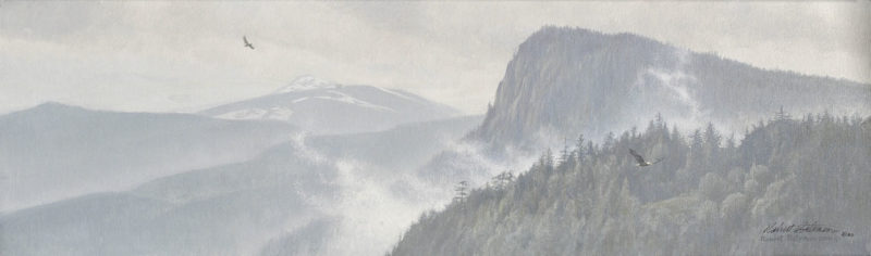 Robert Bateman-thinking like a mountain