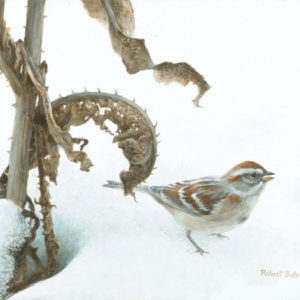 Robert Bateman-tree sparrow and teasal