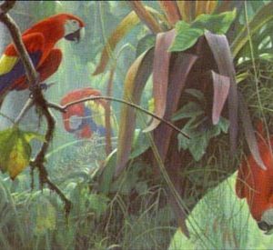 Robert Bateman-tropical canopy scarlet macaws