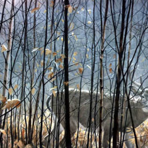 Robert Bateman-whitetailed deer thru the birches