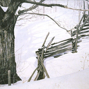 Robert Bateman-window into ontario