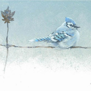 Robert Bateman-winter blues bluejay