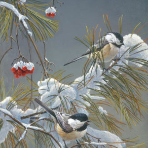 Robert Bateman-wintersong chickadees