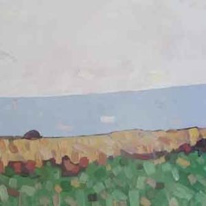 david grieve-white blue sky field