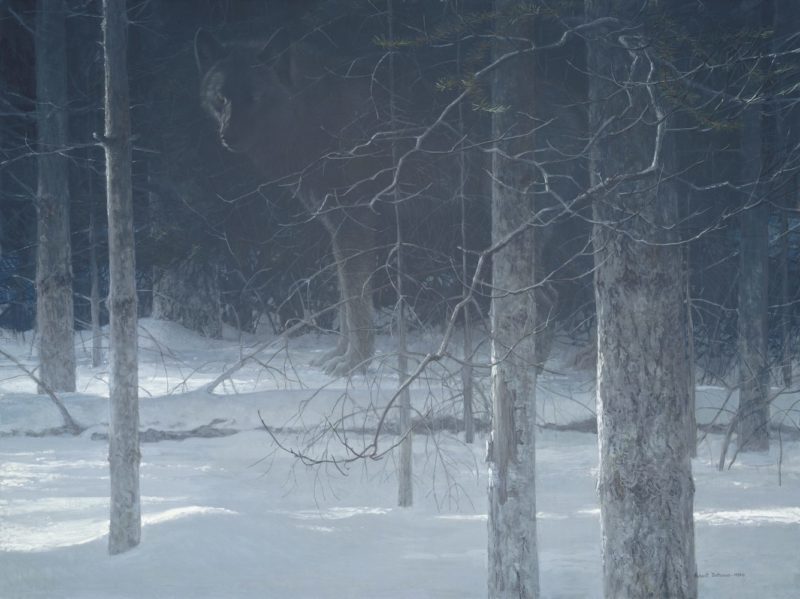 Robert Bateman-Midnight Black Wolf