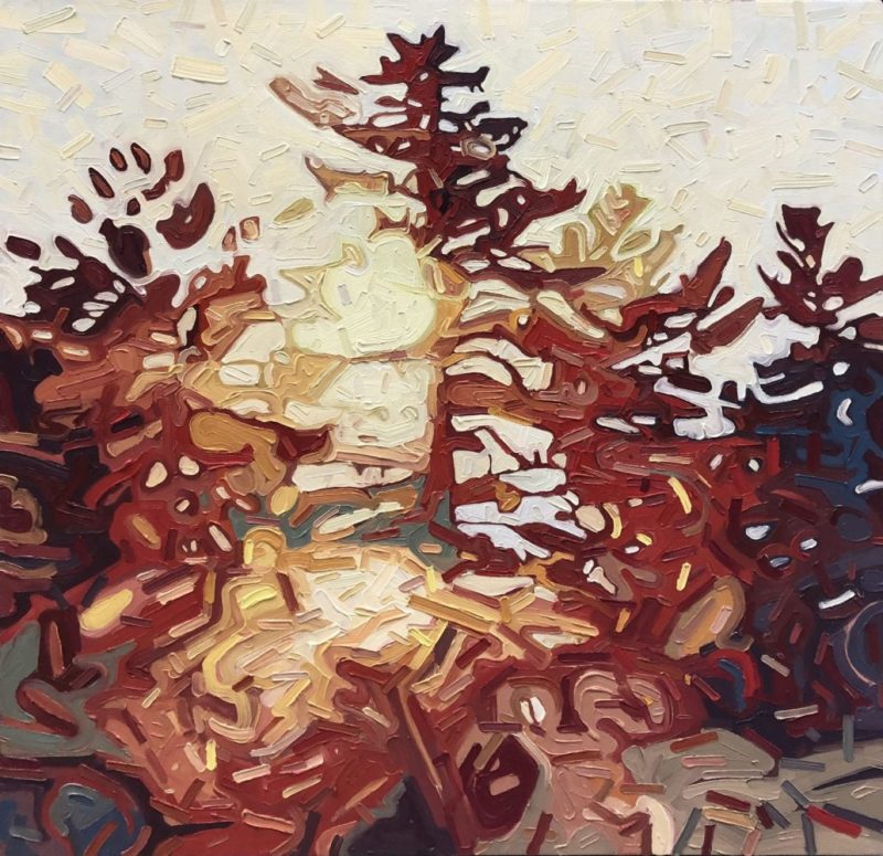 David Grieve - Shifting Pine 1